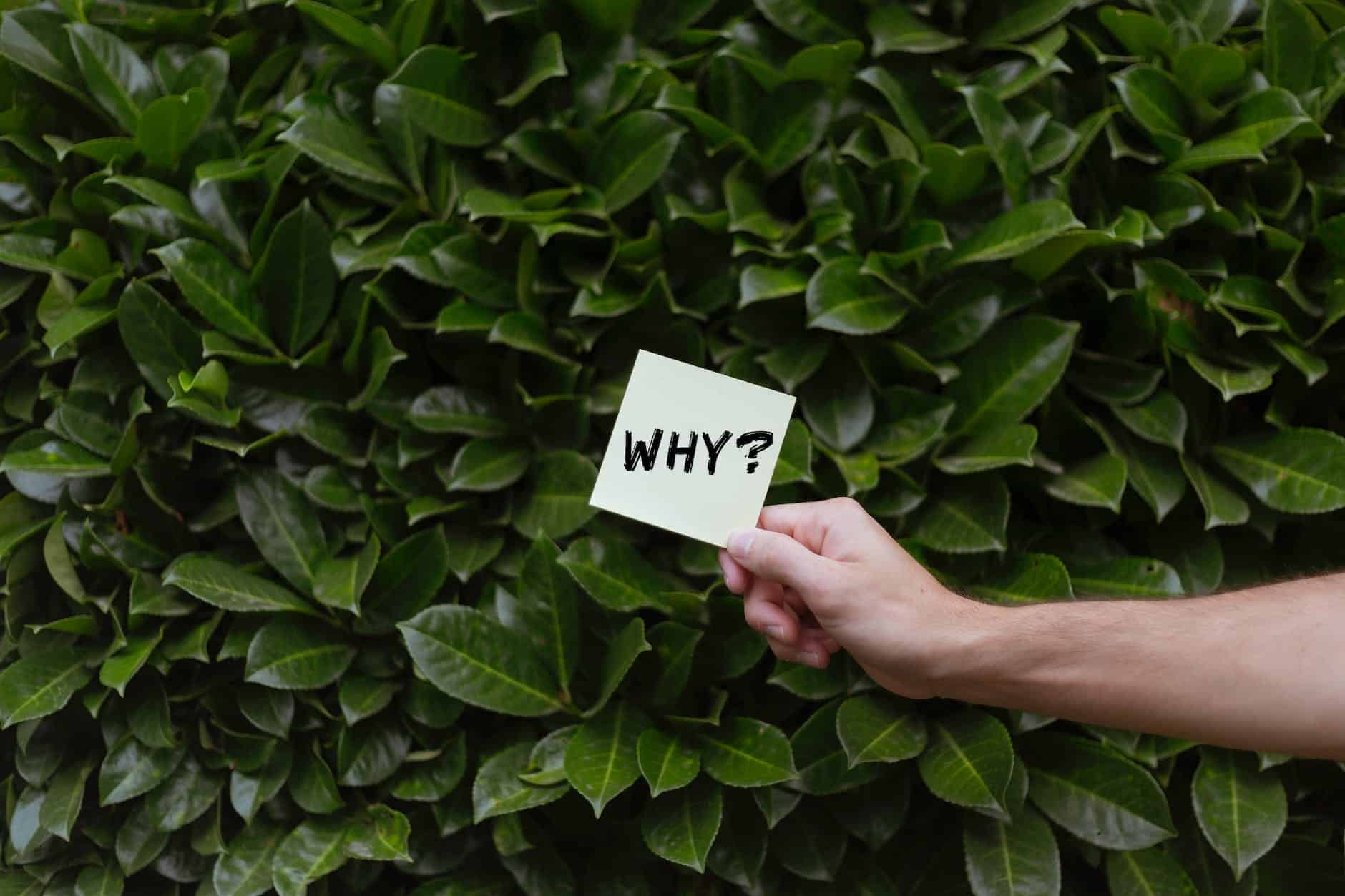 concept image with a question on a sticky note against green hedge